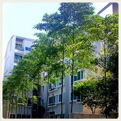 Le Reve (D14), Condominium #9254432